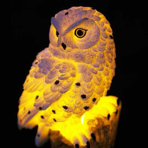 Easylife Glowing Solar Owl in Off White, Silicon