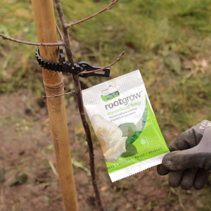 Full Tree Planting Kit | Extra Strong Stake, Supersoft Tie & RootgrowTM