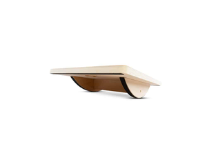 PowerBalance Board