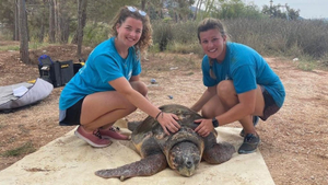 Volunteer in Greece