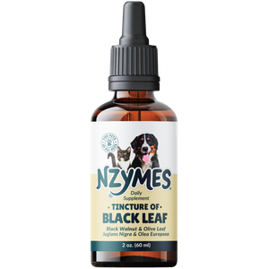 Black Leaf