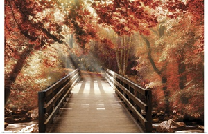 Autumn Bridge
