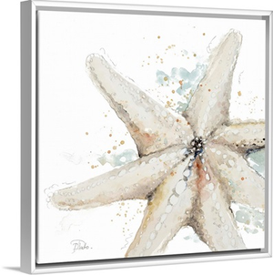 Water Starfish