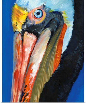 Vibrant Pelican I