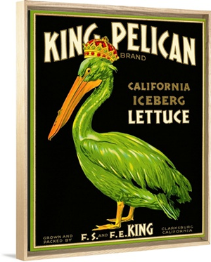King Pelican Brand Lettuce