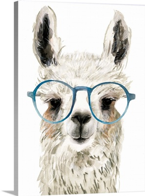Hip Llama II