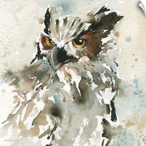 I Spy With My Owl's Eyes