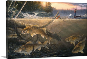 Walleye in the Wood