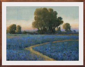 Blue Bonnet Field I
