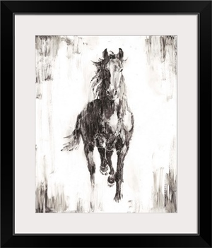 Rustic Black Stallion I