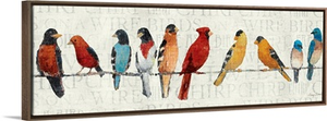 The Usual Suspects - Birds on a Wire