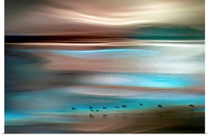Migrations
