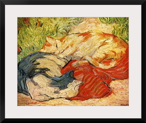 Cats, 1909-10