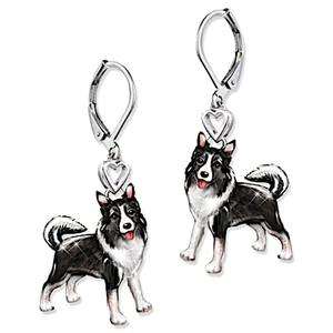 Border Collie Playful Pup Earrings