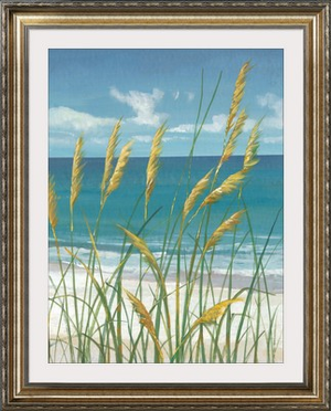 Summer Breeze II