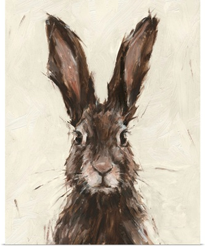 European Hare I
