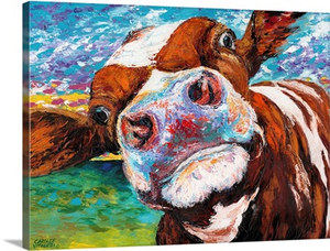 Curious Cow I