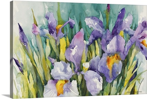 Purple Irises