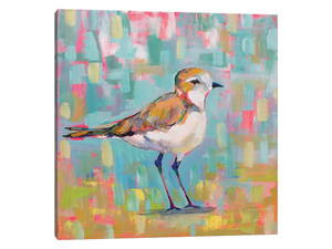 Coastal Plover III