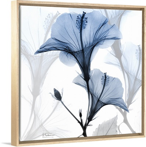 Steel Hibiscus