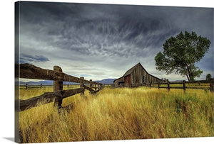The Old Barn