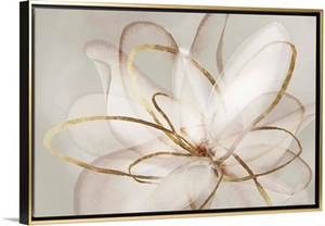 Transparent Beauty III