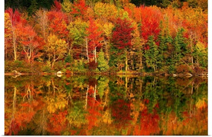 New Hampshire, New England, White Mountains, Echo Lake in autumn