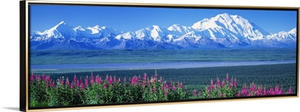 Mountains & Lake Denali National Park AK