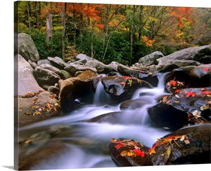 Little Pigeon River, Great Smoky Mountains National Park, Tennessee