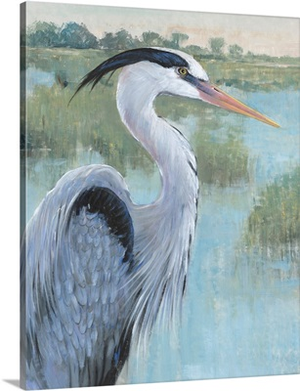 Blue Heron Portrait II