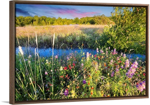 Texas Wildflowers At Sunrise
