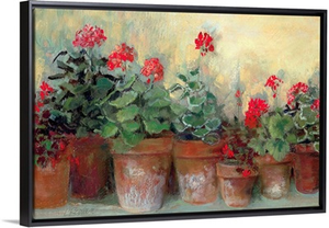 Kathleen's Geraniums