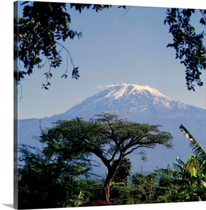 Mt. Kilimanjaro, Moshi, Tanzania