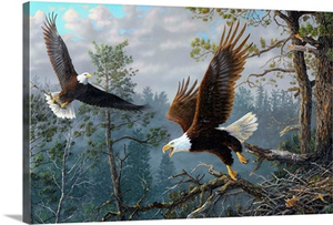 Masters of the Clouds