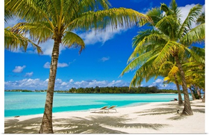 Palm trees, lounge chairs, and white sand on a tropical beach