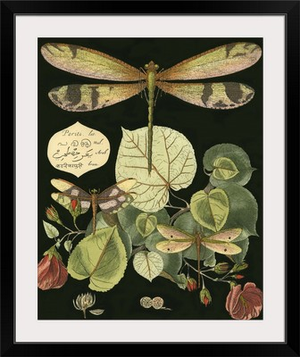 Whimsical Dragonfly on Black II