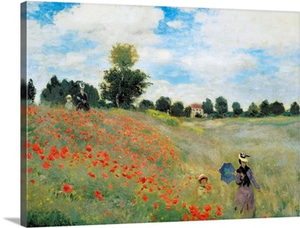 Wild Poppies