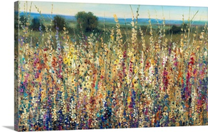 Flowering Field