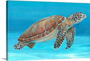 Ocean Sea Turtle I