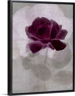Rosea Blush 4