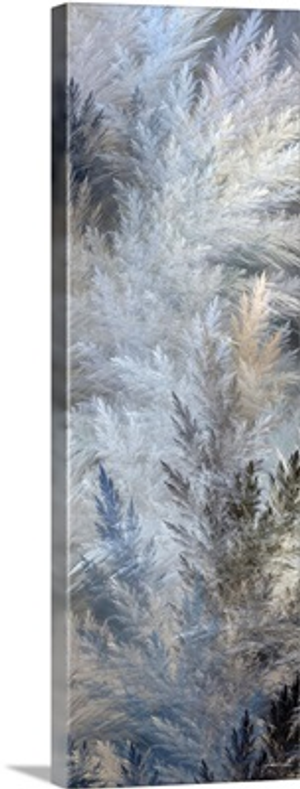 2-Up Pampas Panels II