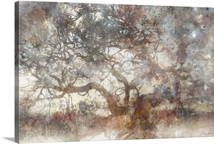 Wisdom Tree