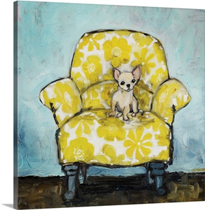 Chihuahua on Yellow Chair