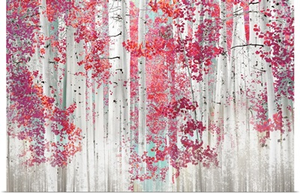 Birch Trees P