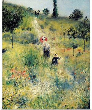 The Path through the Long Grass