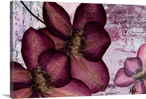 Pressed Flowers II