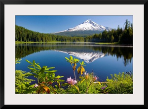 Reflection Of Mount Hood In Trillium Lake In The Oregon Cascades; Oregon