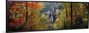 Waterfall in a forest, Raven Cliff Falls, Sumter National Forest, Greenville County, South Carolina