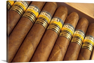 Close-up photograph of limited edition cigars in a box, Cohiba, Havana, Cuba