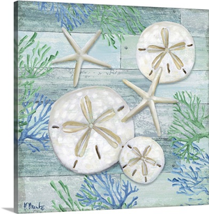 Clearwater Shells I
